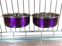 Ellie-Bo Pair of Medium Dog Bowls For Crates, Cages or Pens in Purple